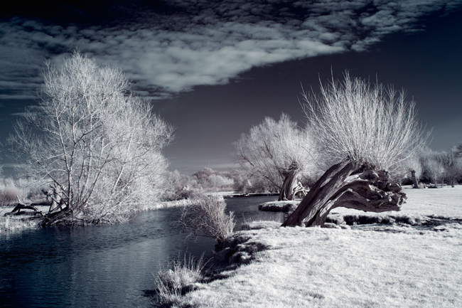 River Stour  in Winter  03  IDN0168980-GRB  3x2